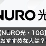 【NORO光】10g