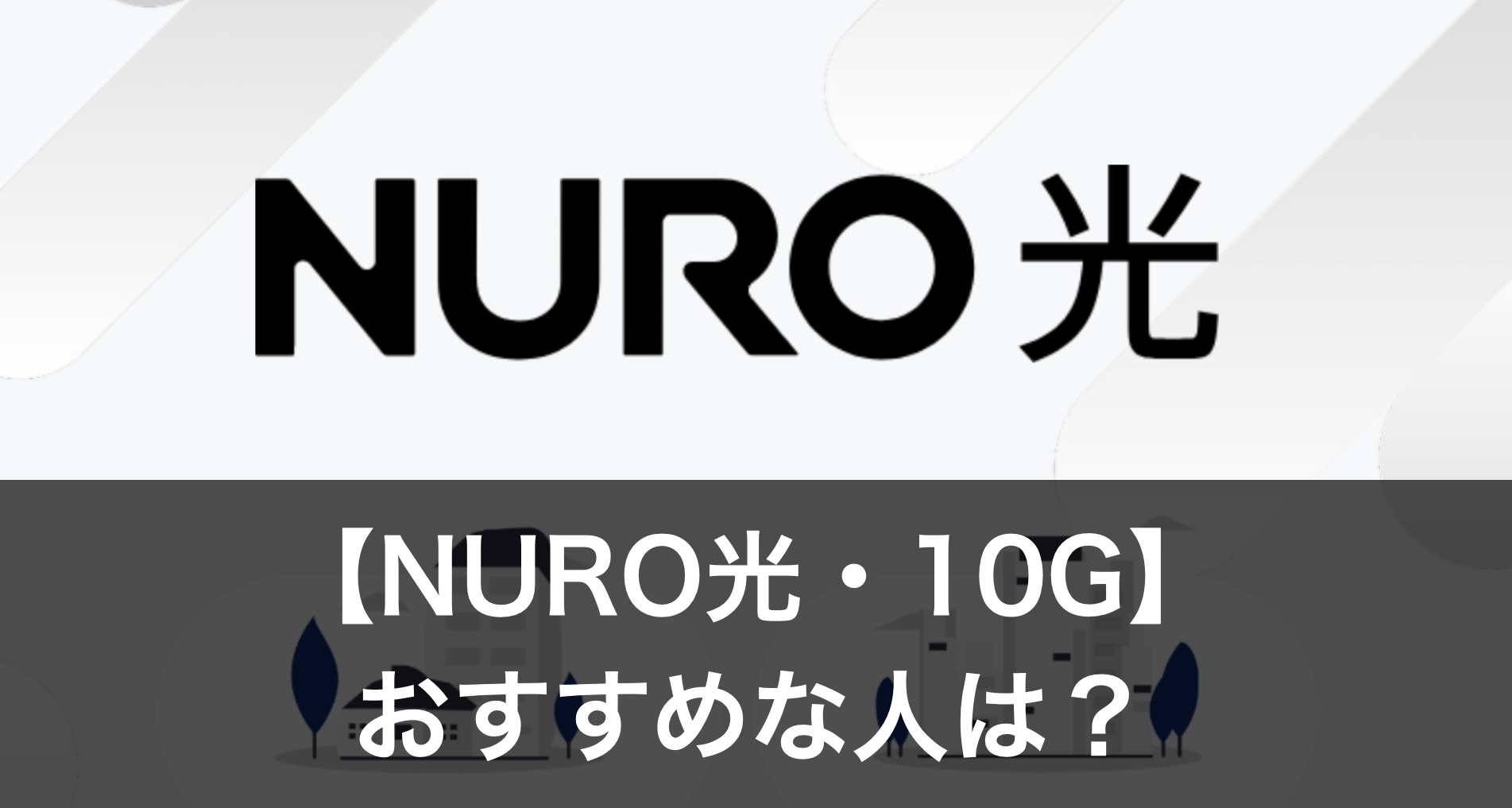 【NORO光】10g