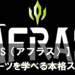 【AFRAS（アフラス）】とは？プロからマンツーマンでeスポーツを学べる本格スクール