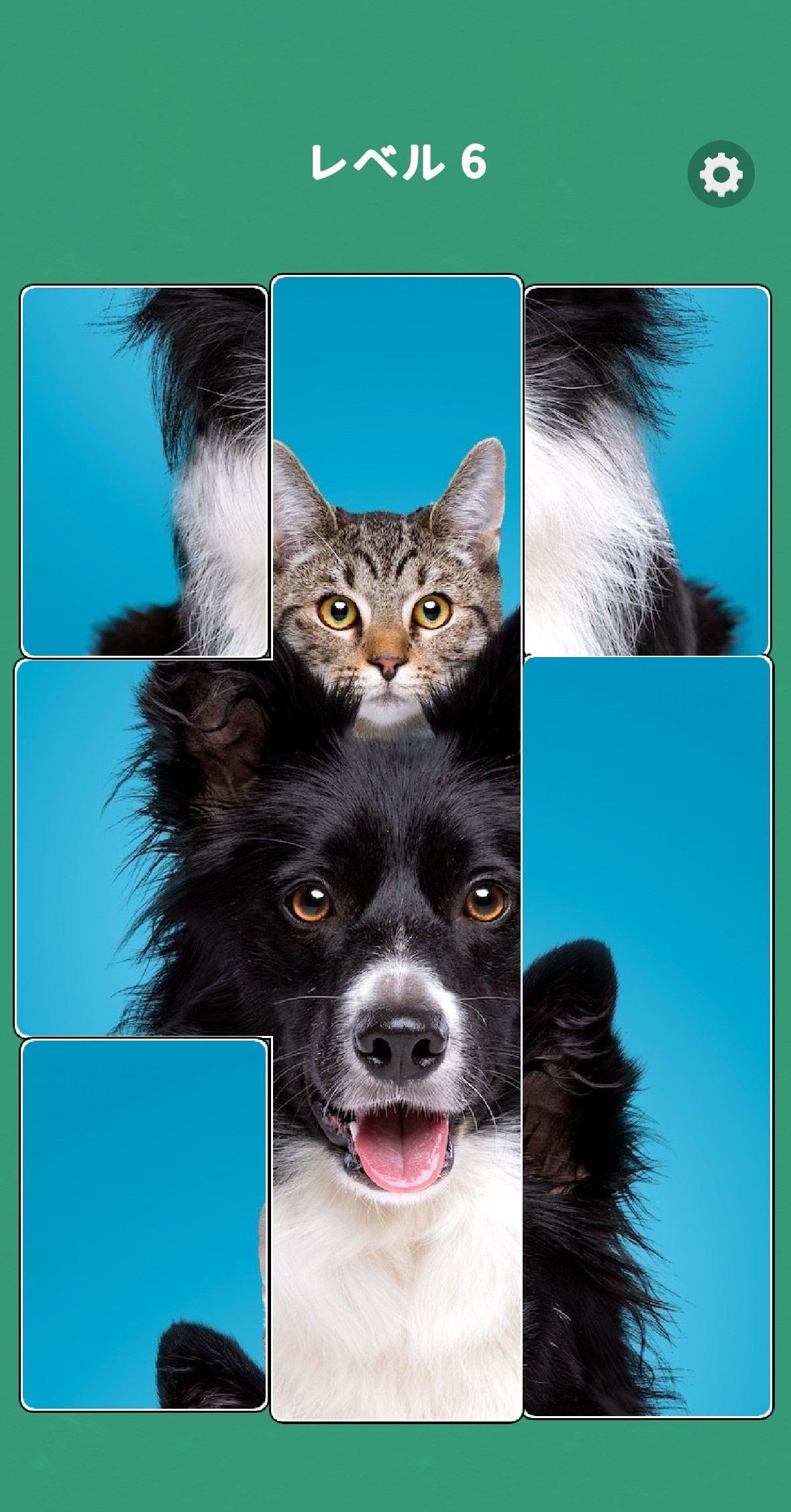 魅力その2：美しい写真と“ピタッ”とはまる爽快感