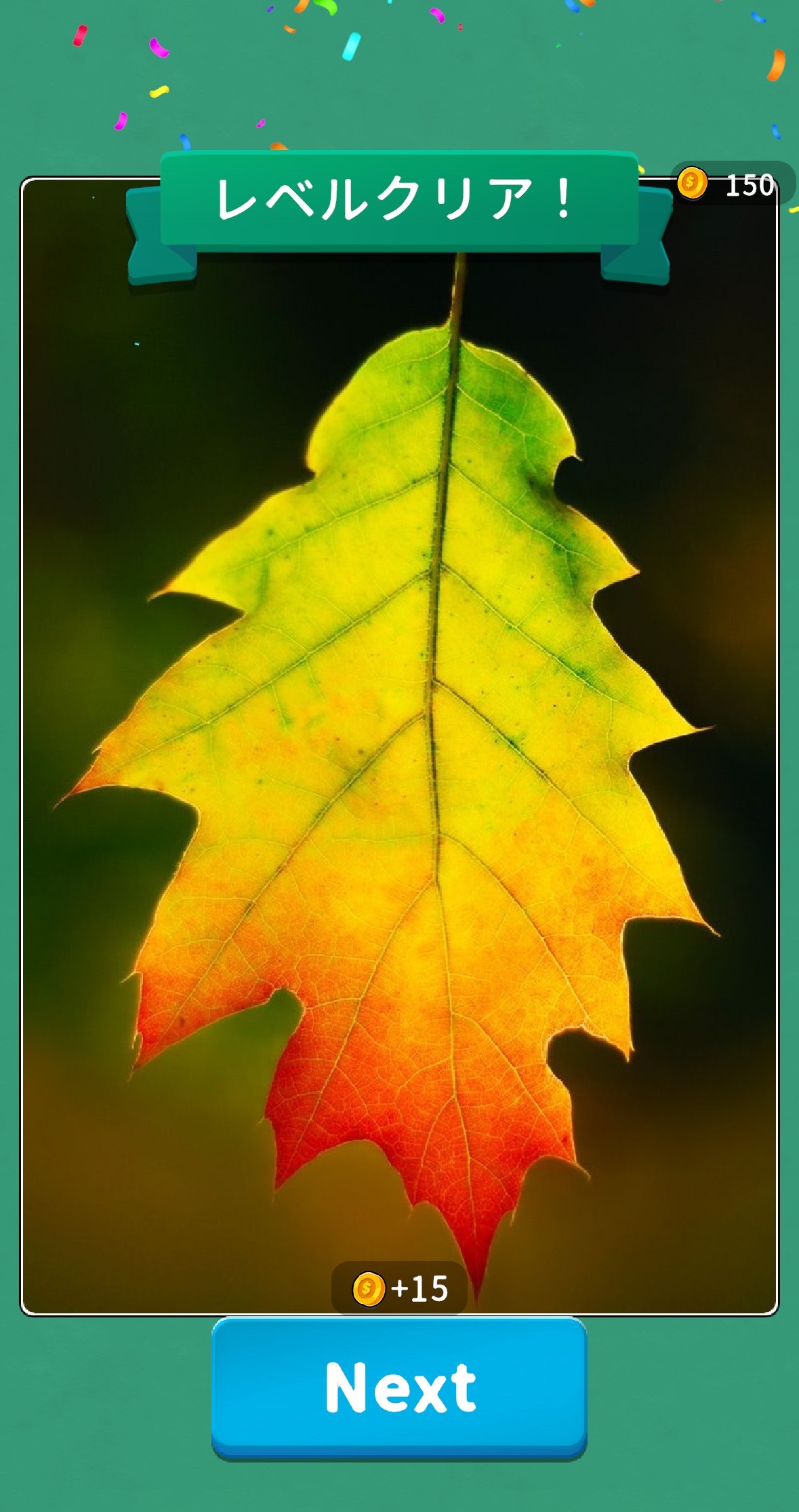 序盤その2：カード枚数が増えたステージとハードに挑戦